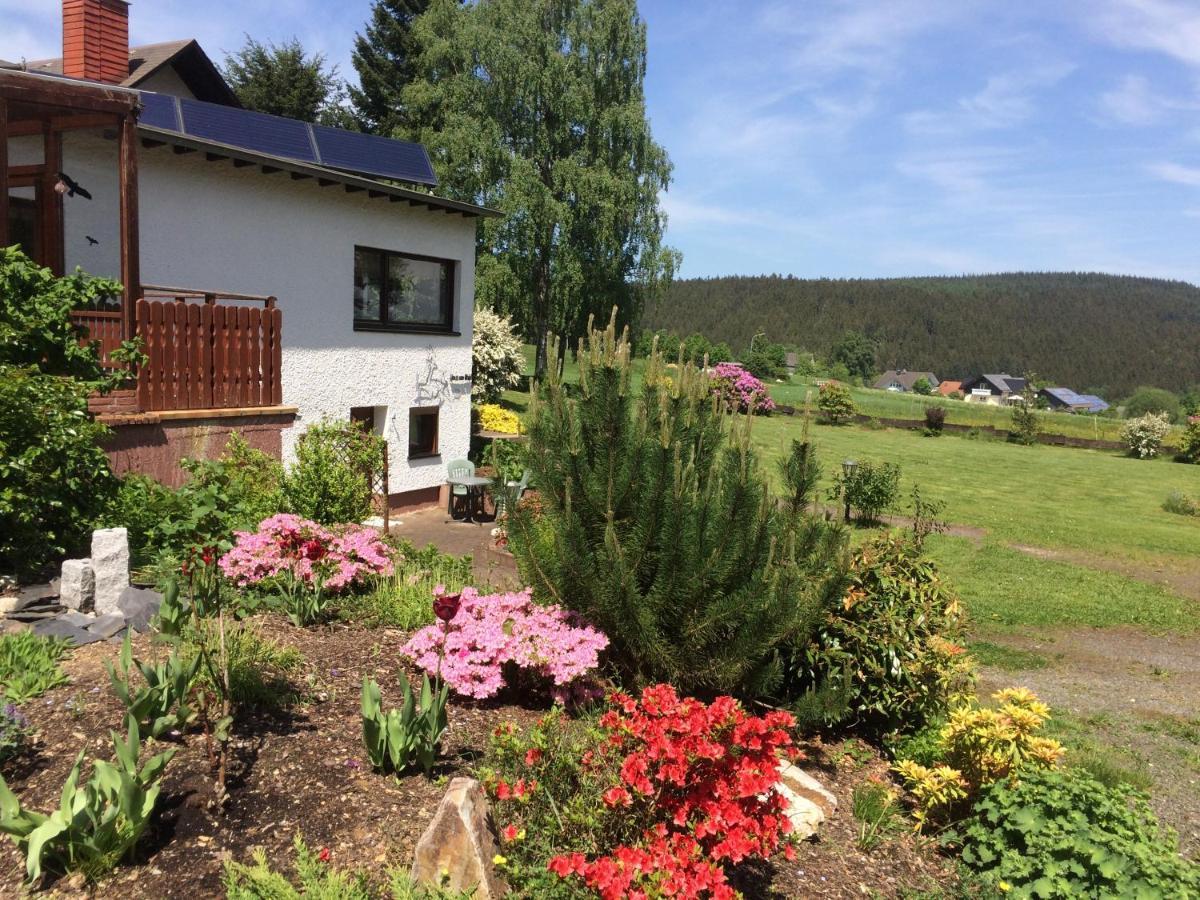 Appartamento Haus Am Wald - Urlaub Am Nationalpark Langweiler  Esterno foto