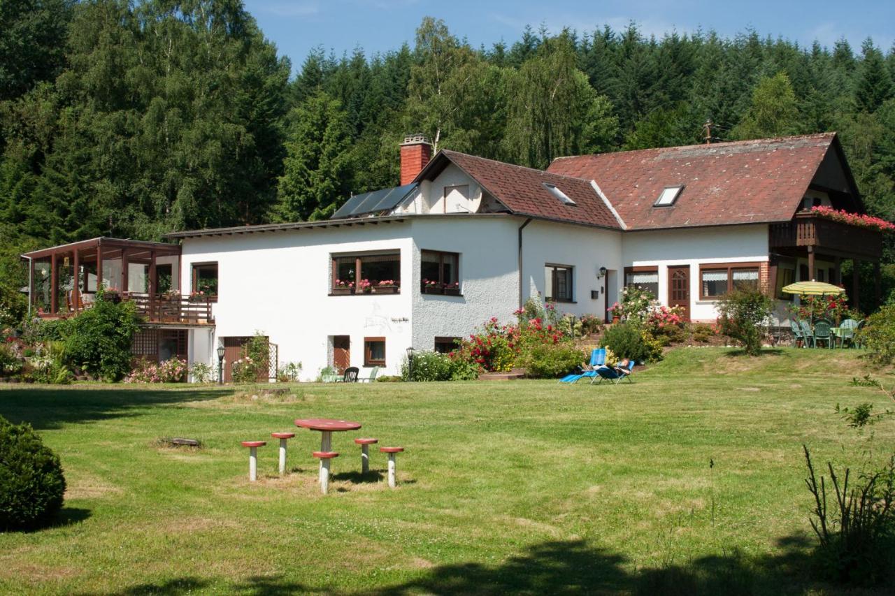 Appartamento Haus Am Wald - Urlaub Am Nationalpark Langweiler  Esterno foto